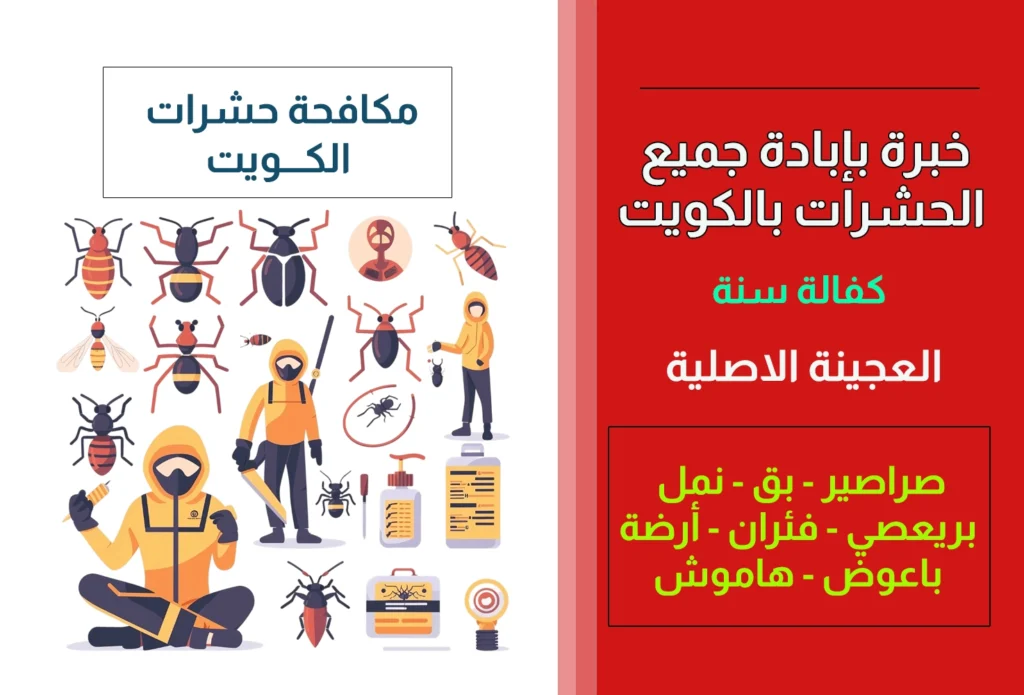 مكافحة حشرات الكويت