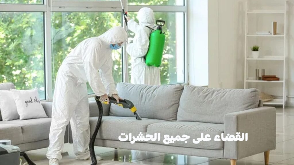 مكافحة الحشرات في الكويت