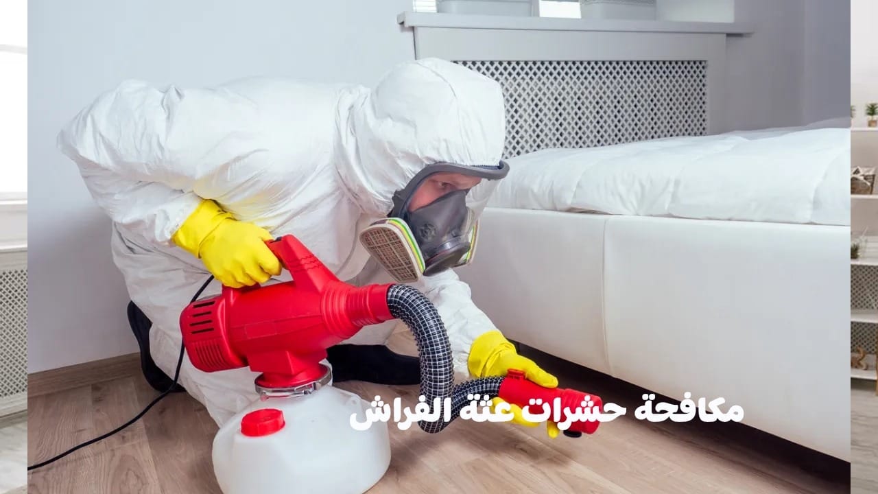 شركة مكافحة حشرات