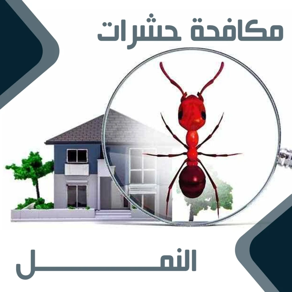 مكافحة النمل