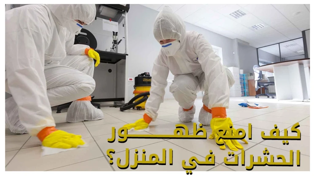 كيف امنع ظهور الحشرات في المنزل؟