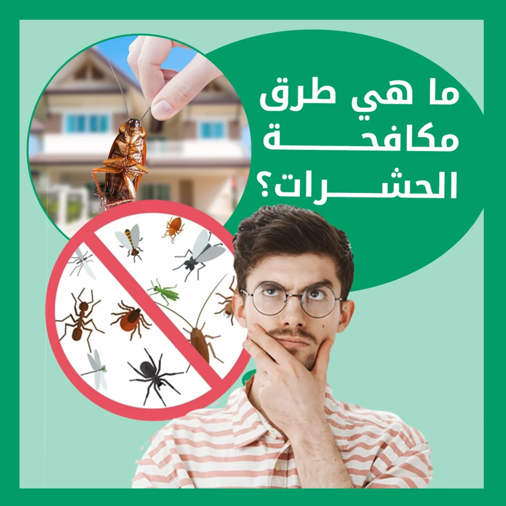 ما هي طرق مكافحة الحشرات؟