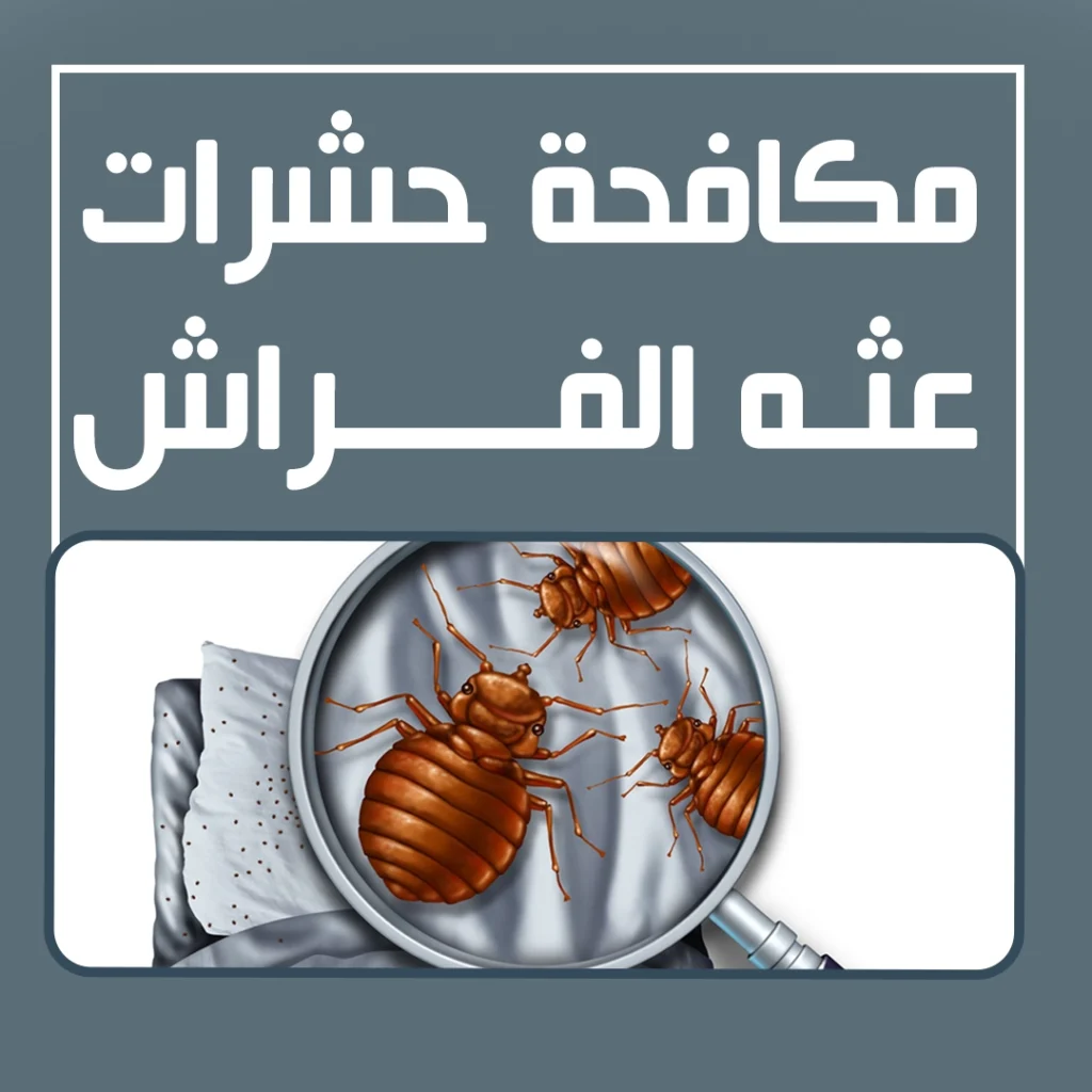 مكافحة حشرات عث الفراش