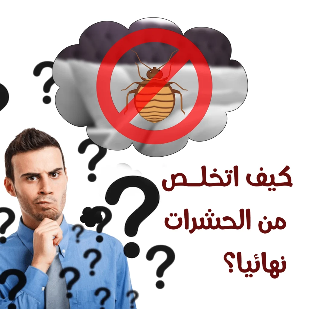 كيف اتخلص من الحشرات نهائيا؟
