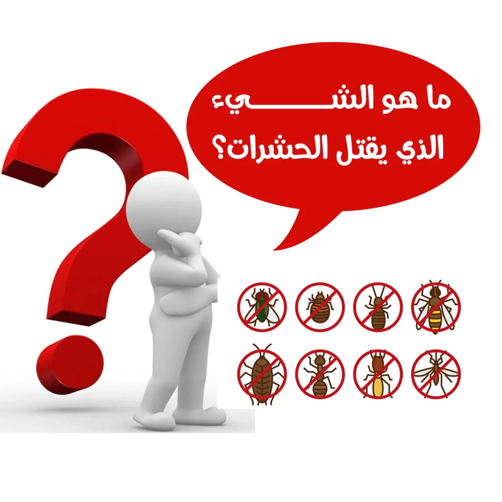 ما هو الشيء الذي يقتل الحشرات؟