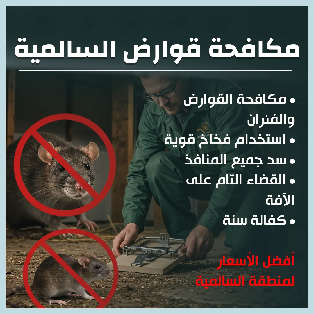 مكافحة قوارض السالمية 66650407📞 | كفالة عام كامل على الخدمة