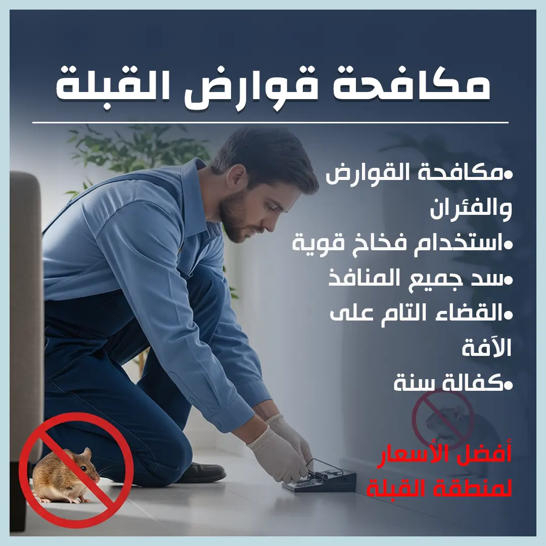 مكافحة قوارض القبلة 66650407📞 | مبيدات آمنة وكفالة سنة