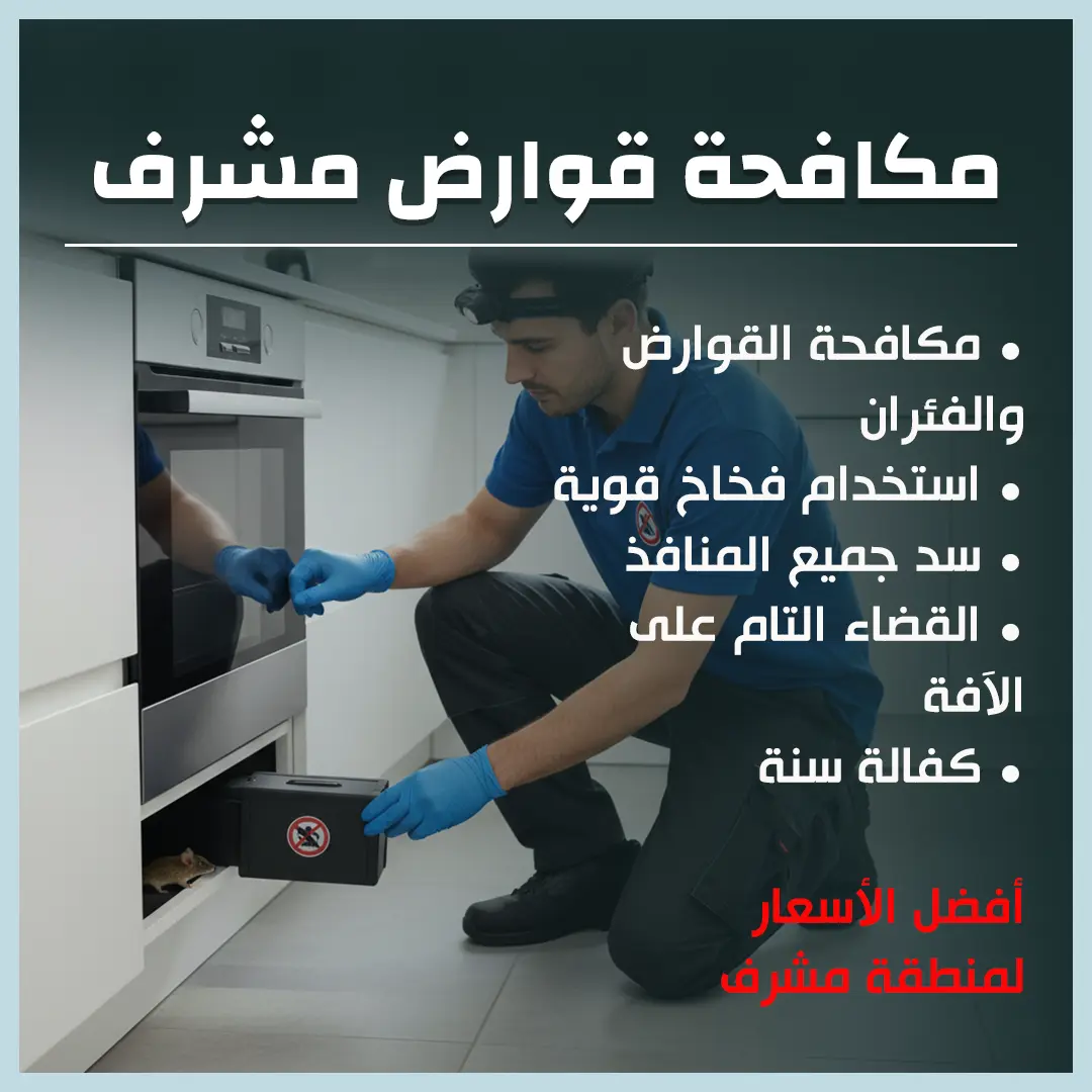 مكافحة قوارض مشرف 66650407📞| خبرة واحترافية مع كفالة سنة