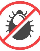 مكافحة حشرات بق مكافحة حشرات بق