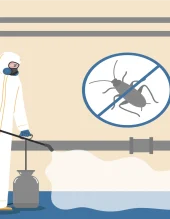 حشرات وقوارض حشرات وقوارض