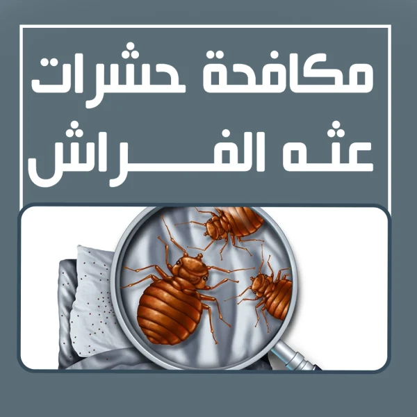 مكافحة حشرات عثه الفراش