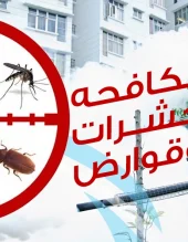 مكافحه حشرات وقوارض مكافحه حشرات وقوارض